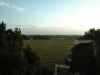 Aussicht aus dem 5. Stock