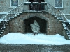 Winter 2010/2011