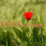 jahreslosung2012