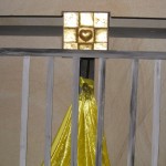 IMG_5585 IMG_5585