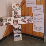 IMG_5593 IMG_5593